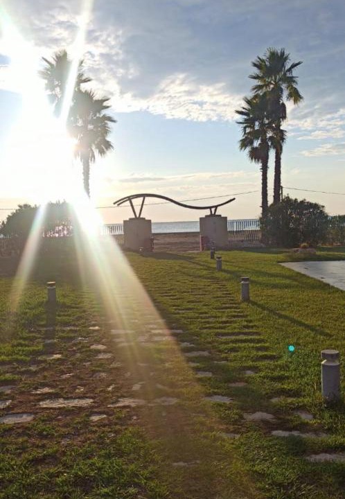 Photo of Others in Sakës
