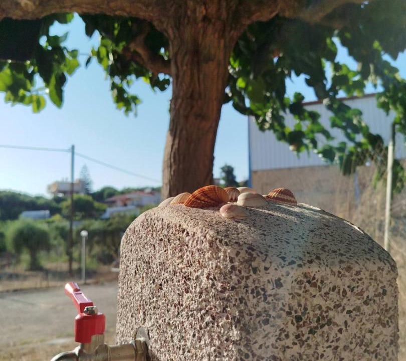 Photo of Others in Pyrgos