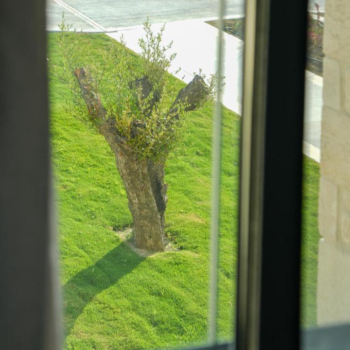Photo of Others in Kassandra