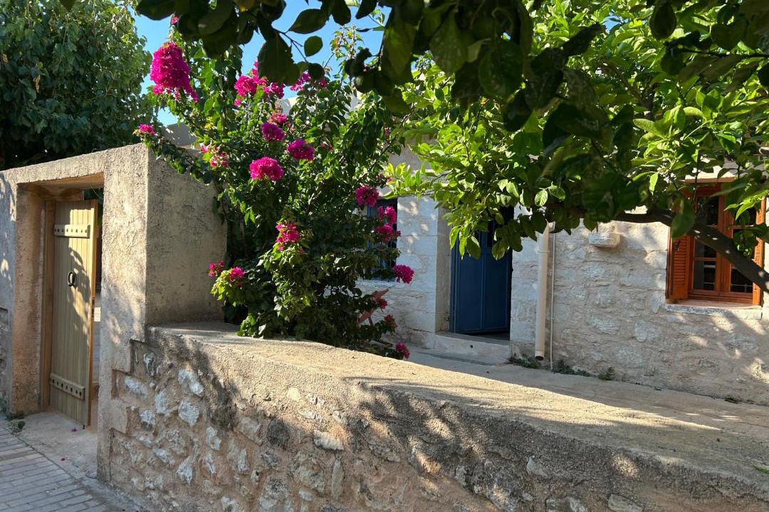 Photo of Others in Tilisos