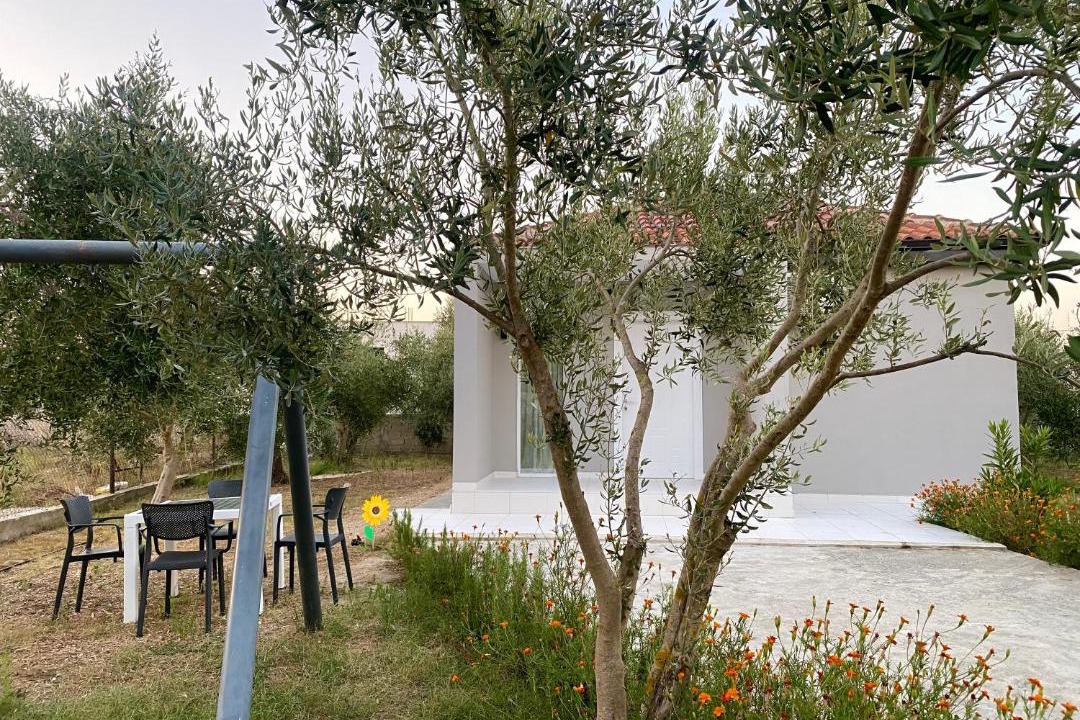 Photo of Others in Qerek