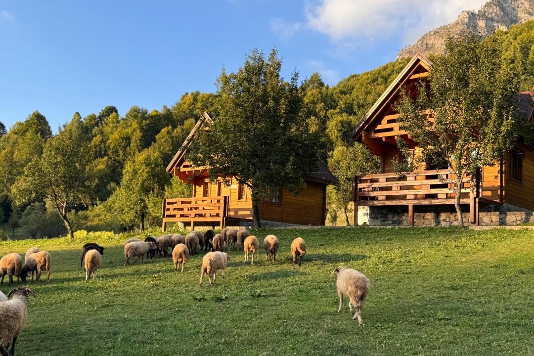 Photo of Others in Shkoder County