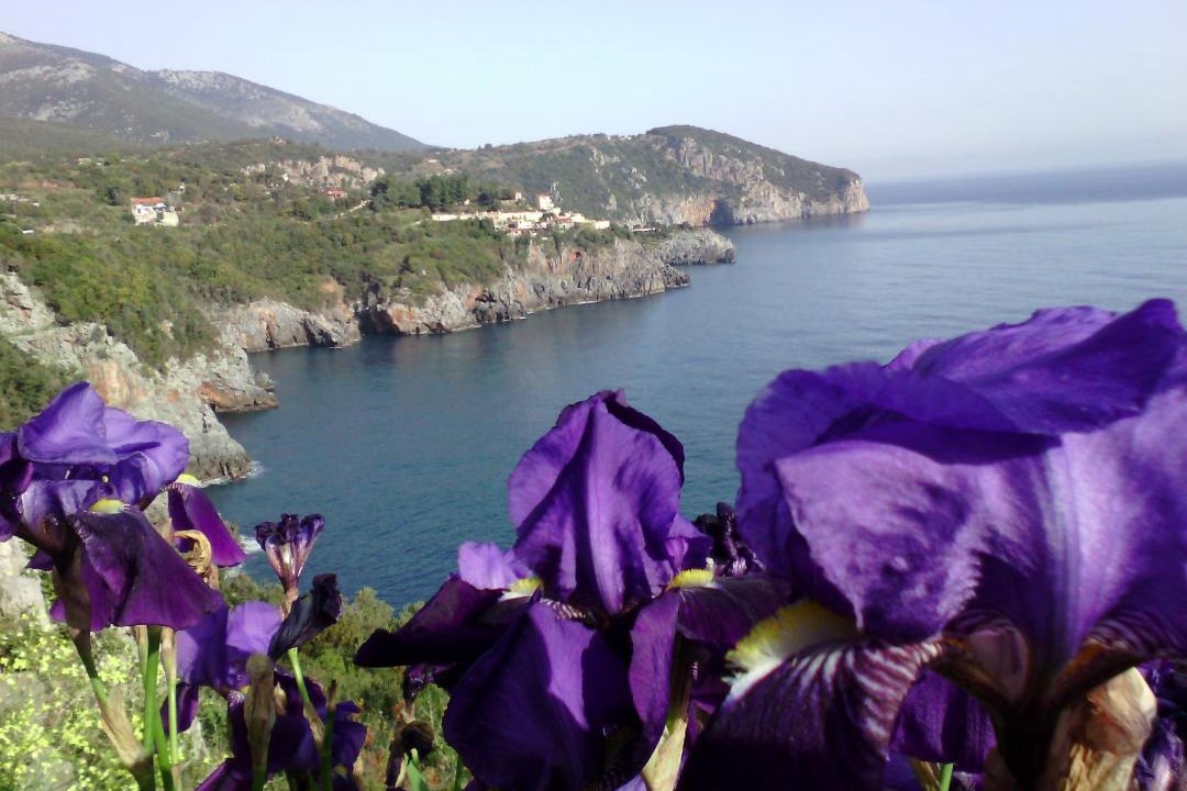 Photo of Others in Limnionas