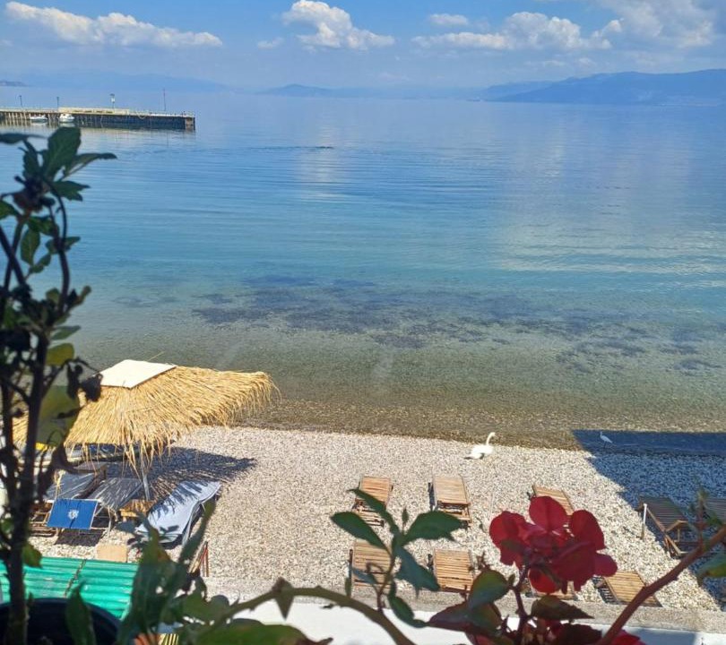Photo of Others in Pogradec