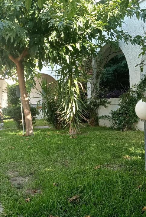 Photo of Others in Skala Fourkas