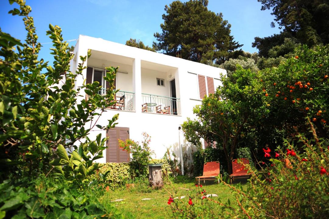 Photo of Others in Agios Konstantinos