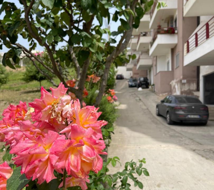 Photo of Others in Shkembi i Kavajes