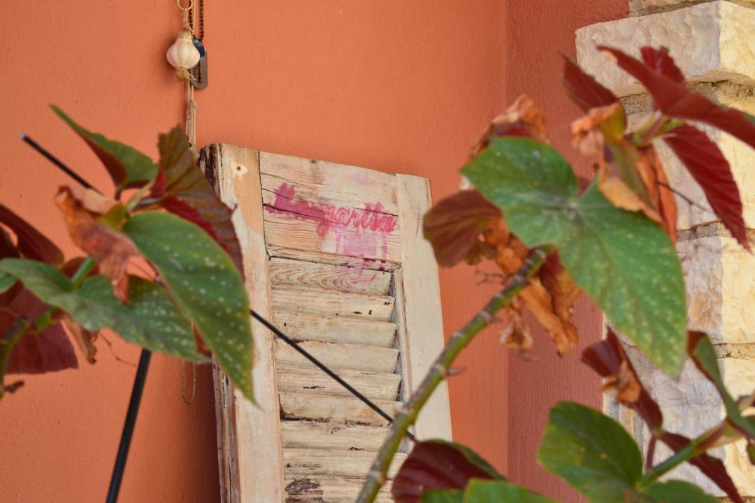 Photo of Others in Sivota