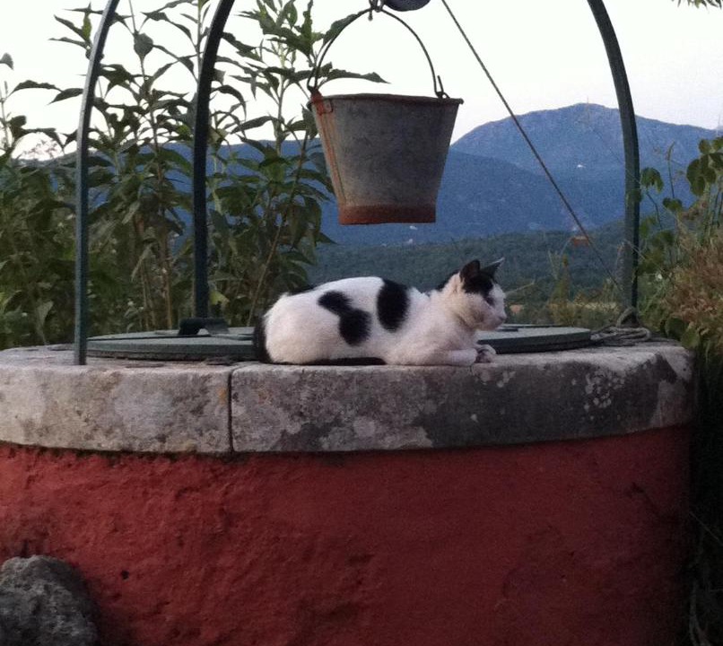 Photo of Others in Paleokastritsa
