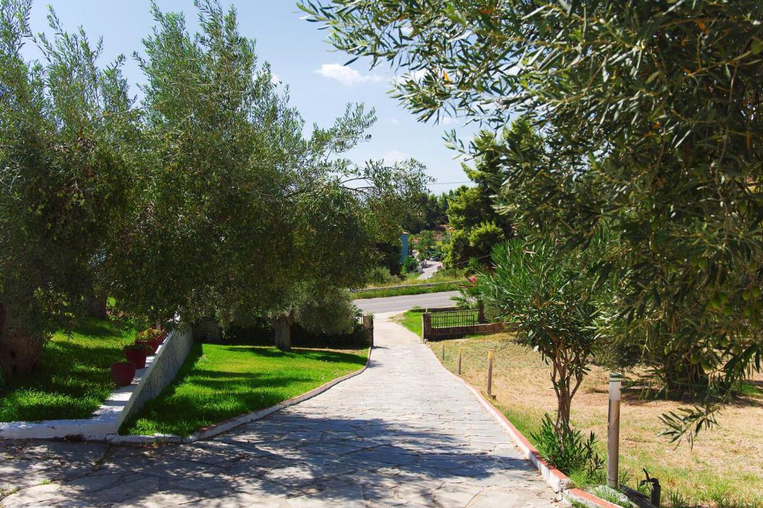 Photo of Others in Kassandra
