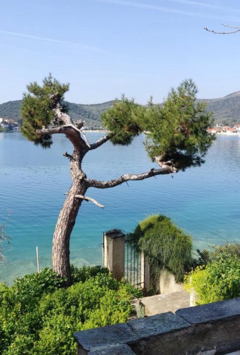 Photo of Others in Volos