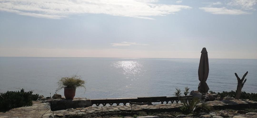 Photo of Others in Pangaio