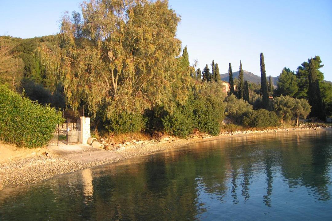 Photo of Others in Yenion