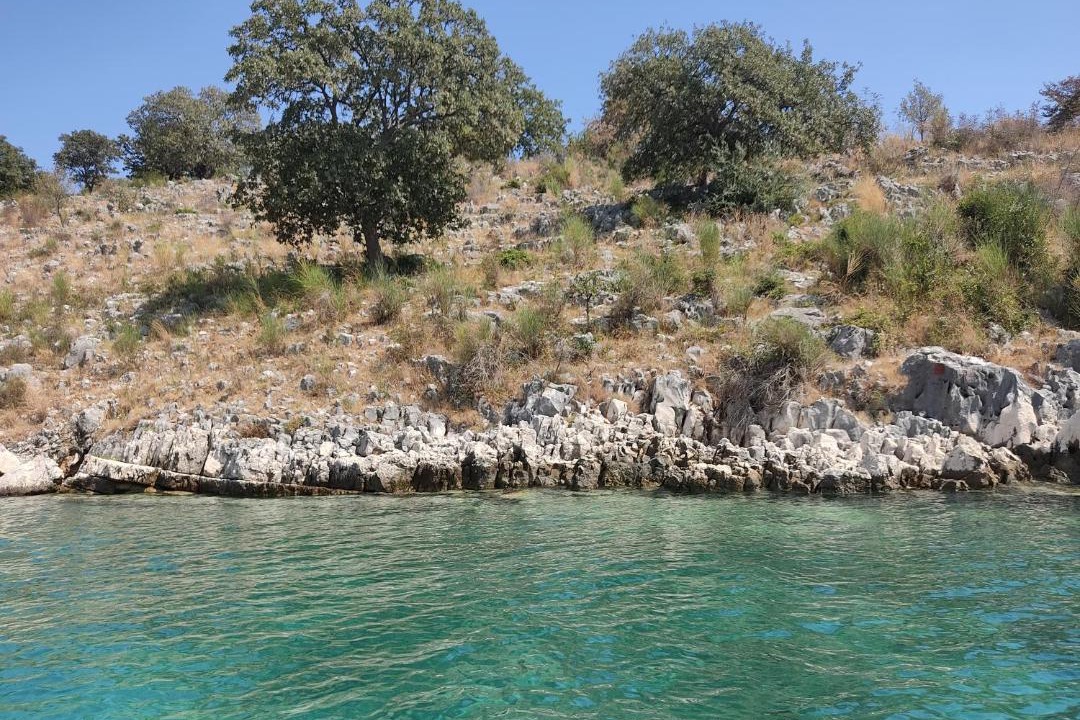 Photo of Others in Sarande