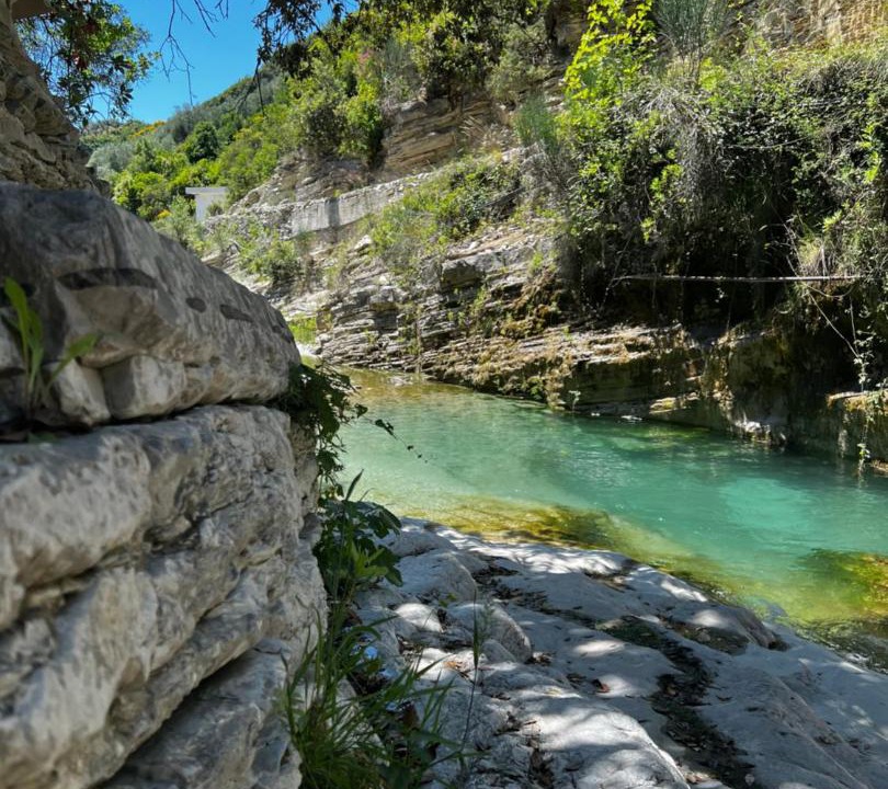 Photo of Others in Albania