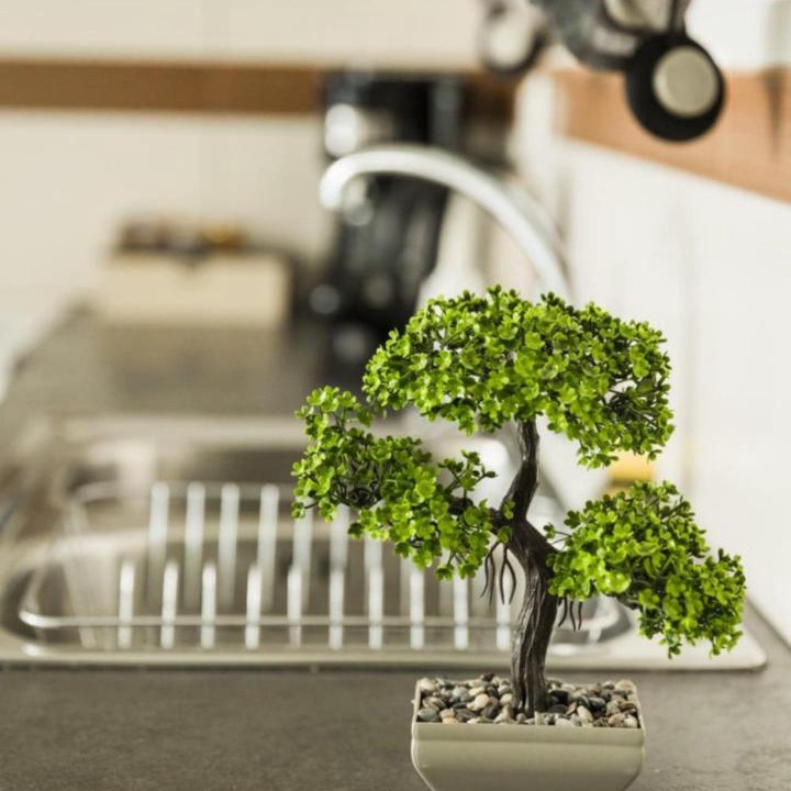 Photo of Kitchen in Sparta