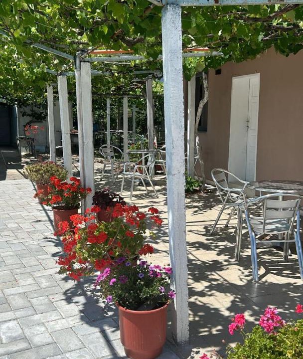 Photo of Others in Qerek