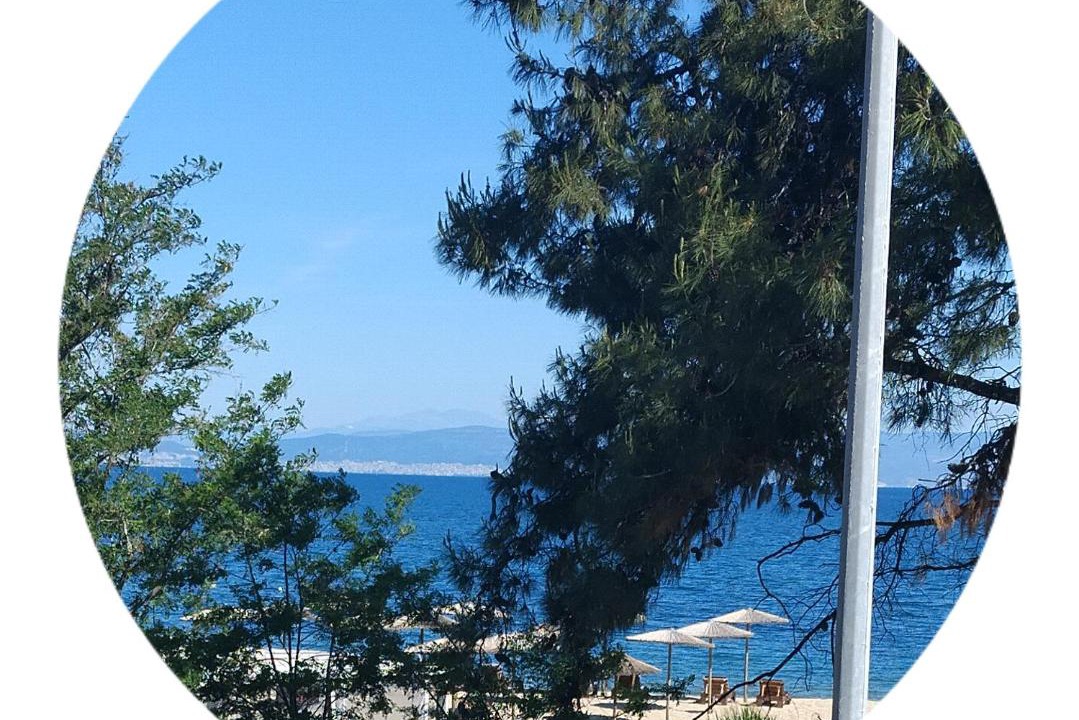 Photo of Others in Skala Prinou