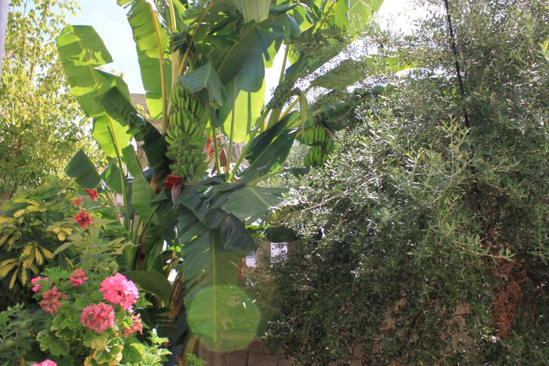 Photo of Others in Kodrra