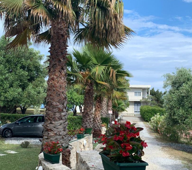 Photo of Others in Afytos