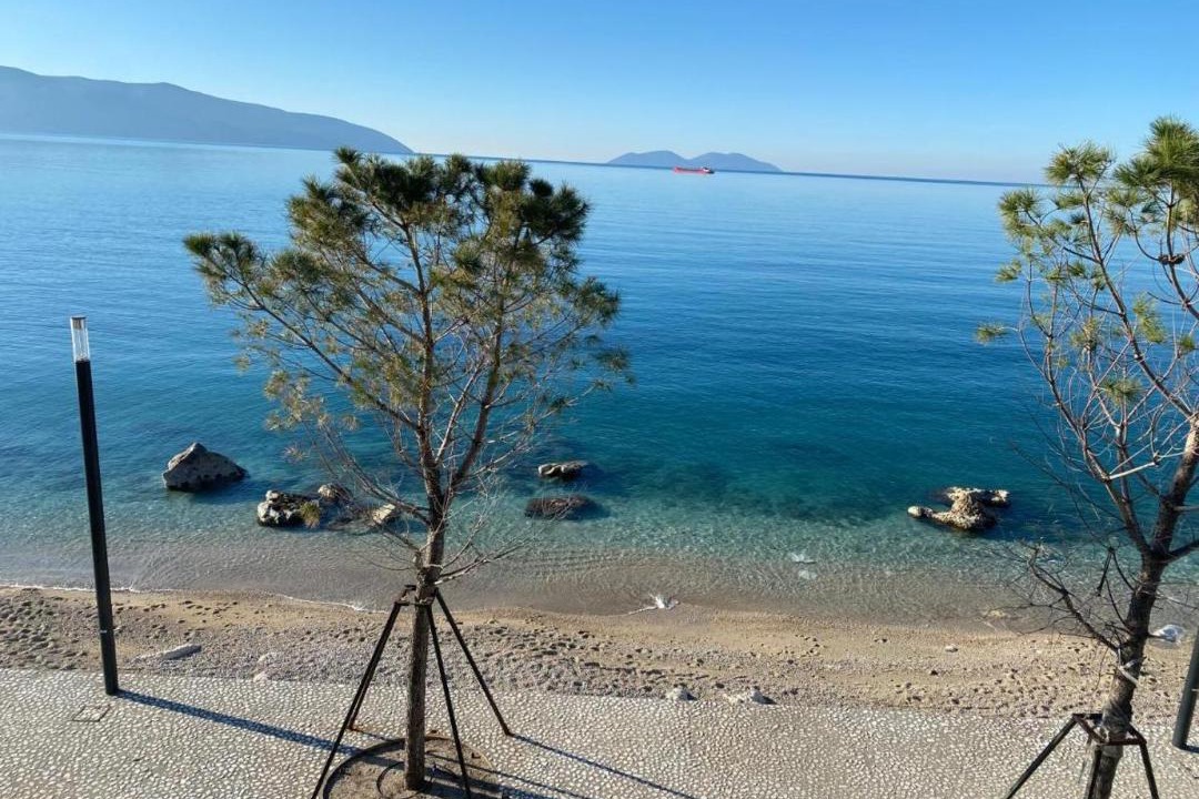 Photo of Others in Vlore