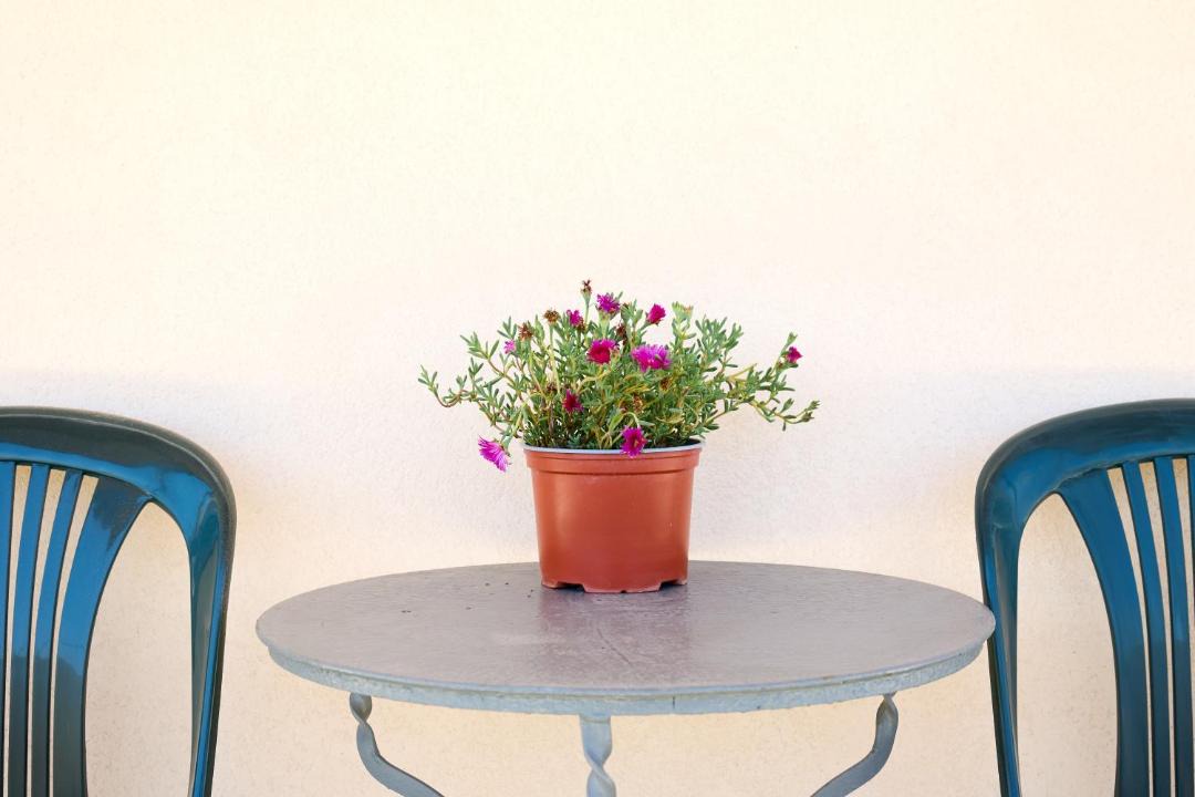 Photo of Others in Chios Town