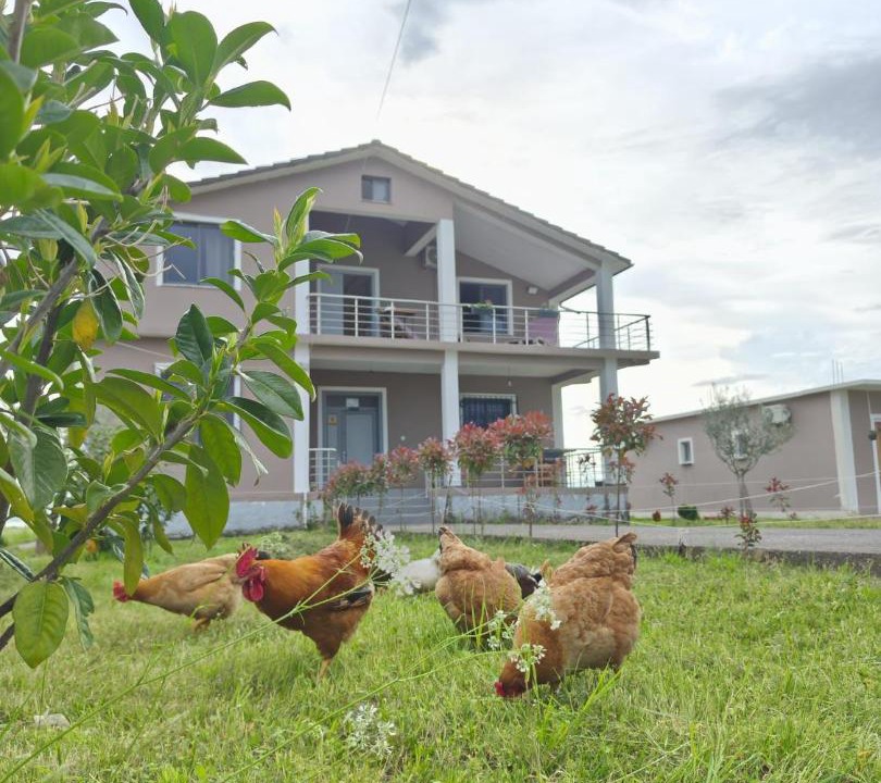 Photo of Others in Shkoder County