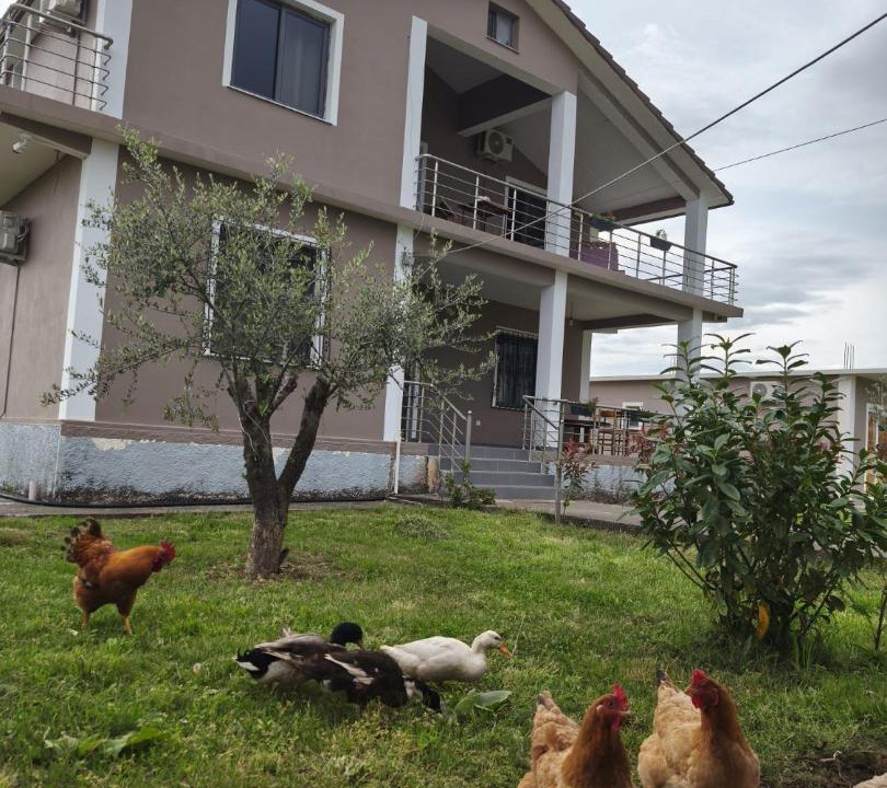 Photo of Others in Shkoder County