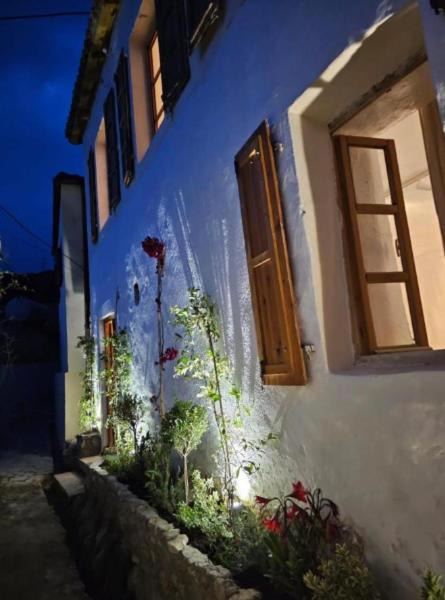 Photo of Others in Dhermi