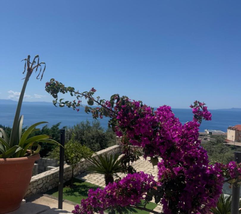 Photo of Others in Dhermi