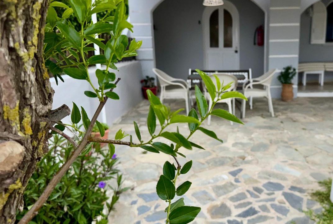 Photo of Others in Agios Georgios Pagon