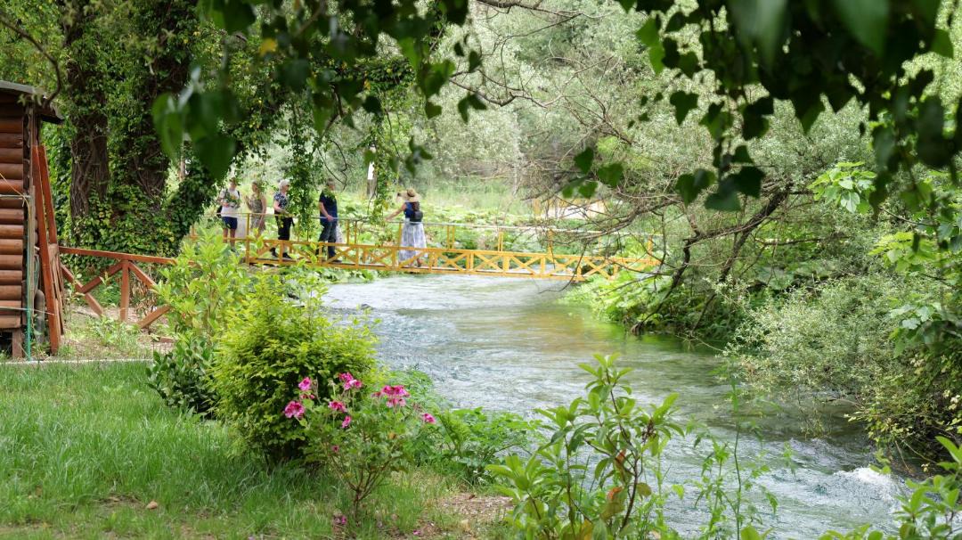 Photo of Others in Mesopotam