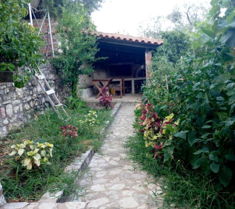 Photo of Others in Lukove