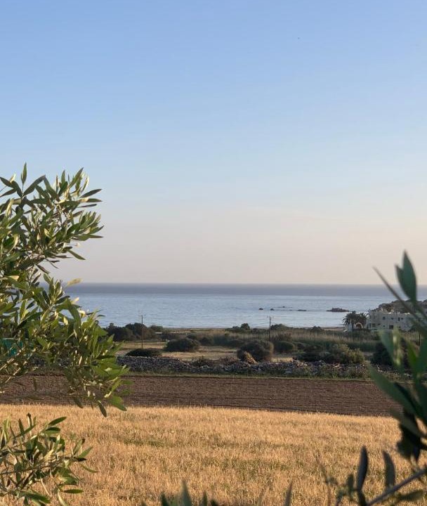 Photo of Others in Naxos
