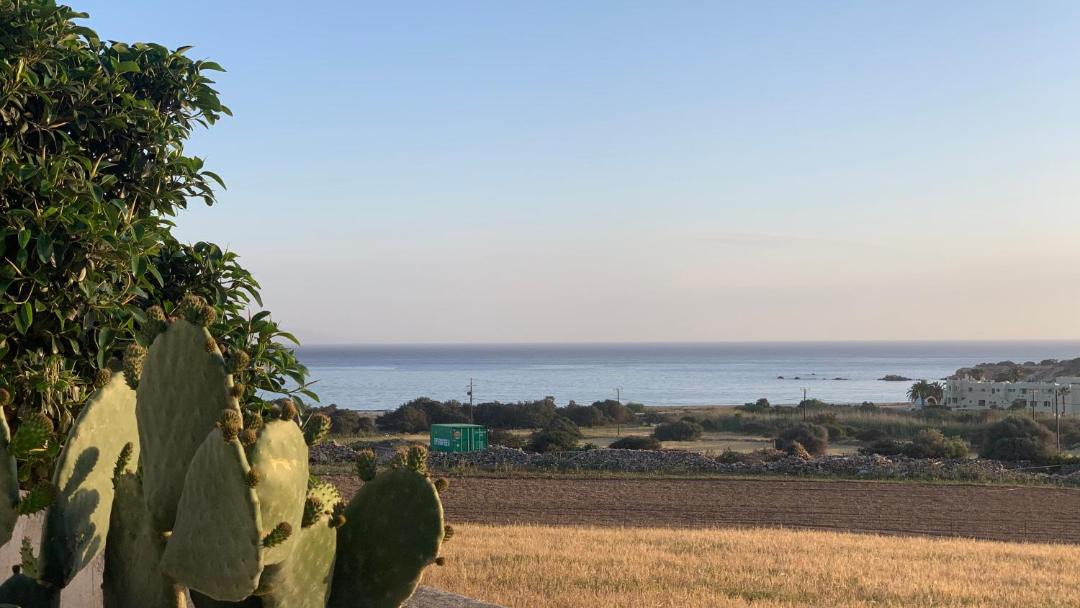 Photo of Others in Naxos