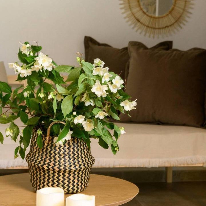 Photo of Livingroom in Megalos Prinos