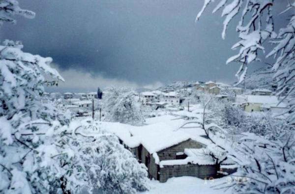 Photo of Others in Okhthonia
