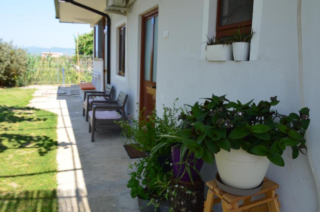 Photo of Others in Sakës