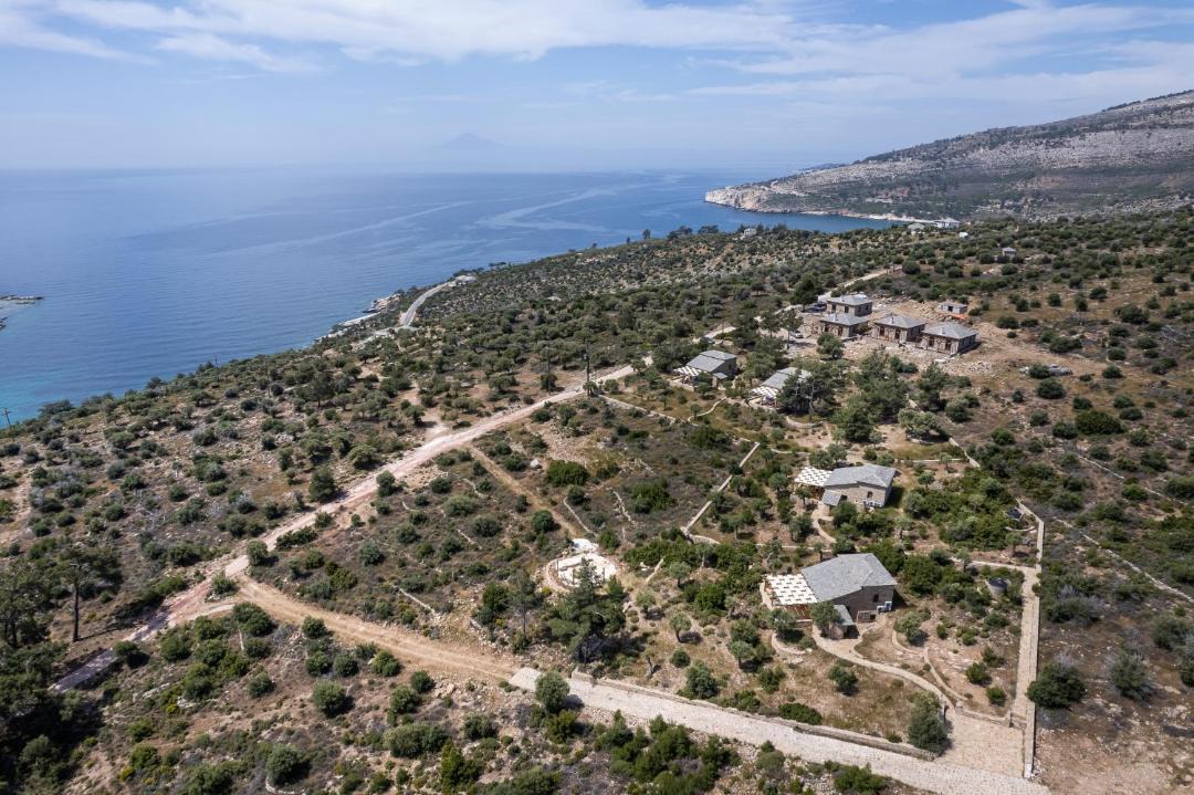 Photo of Others in Aliki