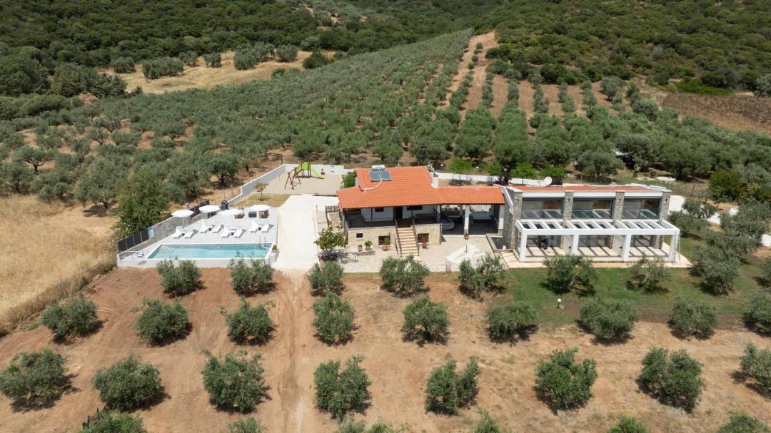 Photo of Others in Aristotelis
