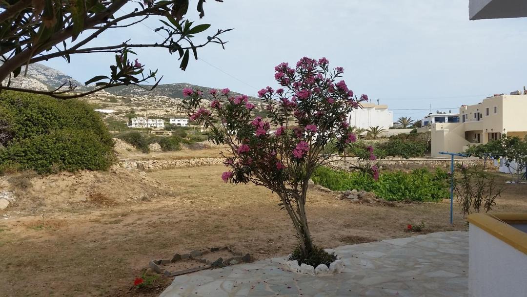 Photo of Others in Lefkos