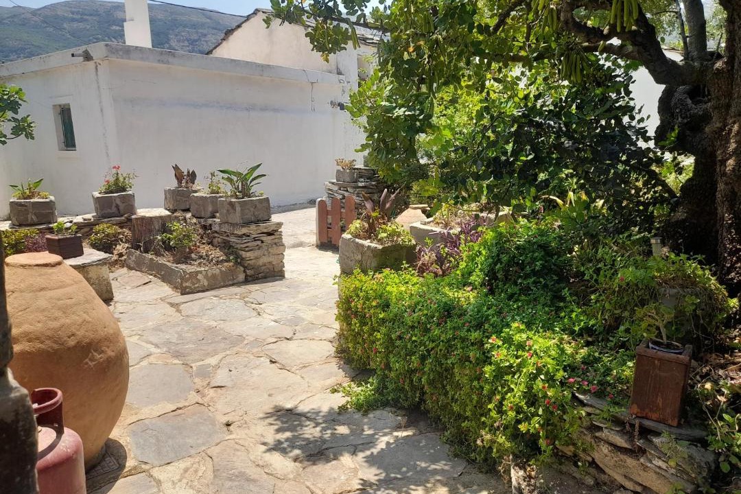 Photo of Others in Ikaria