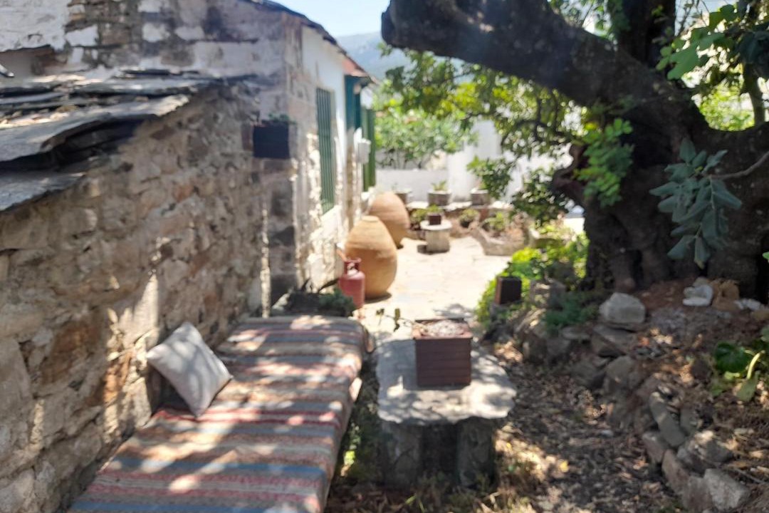 Photo of Others in Ikaria