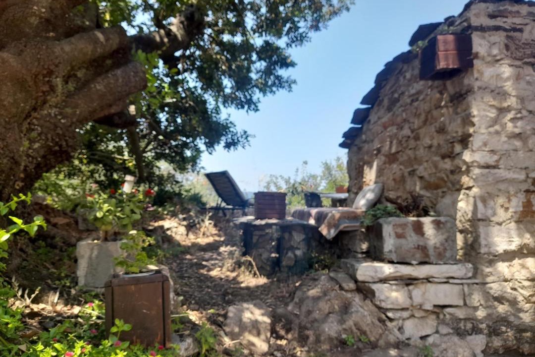 Photo of Others in Ikaria