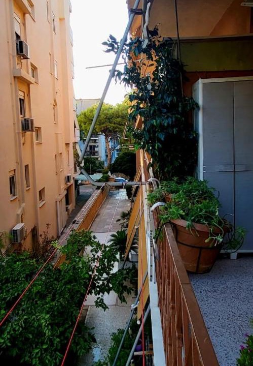 Photo of Others in Palaio Faliro
