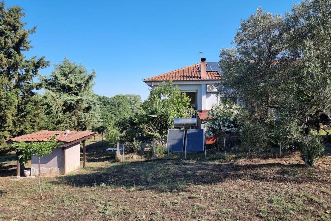 Photo of Others in Kassandra