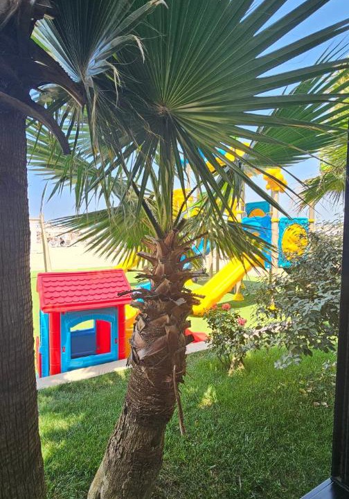 Photo of Others in Golem