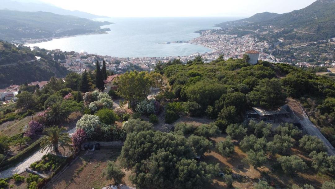 Photo of Others in Samos Town