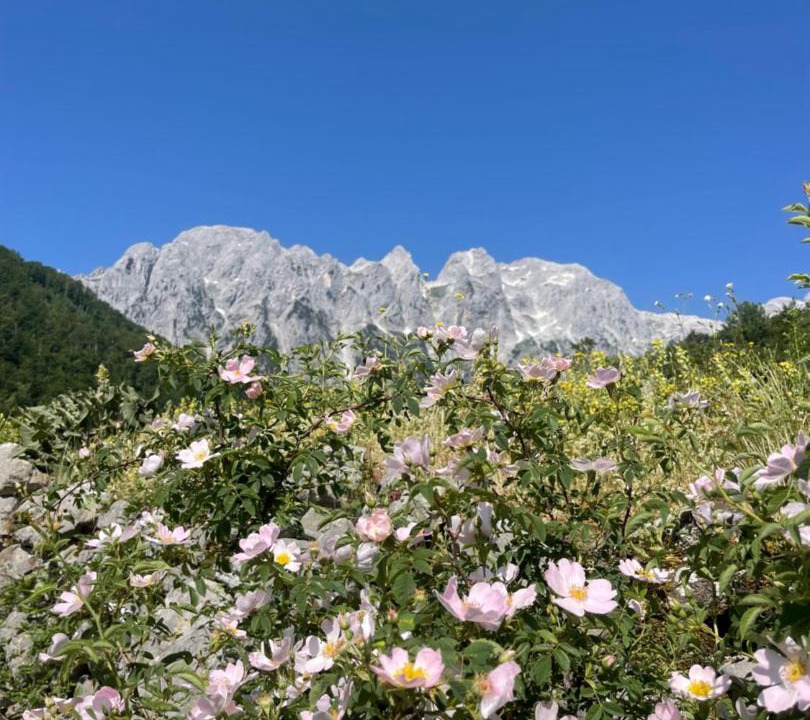 Photo of Others in Kukes County