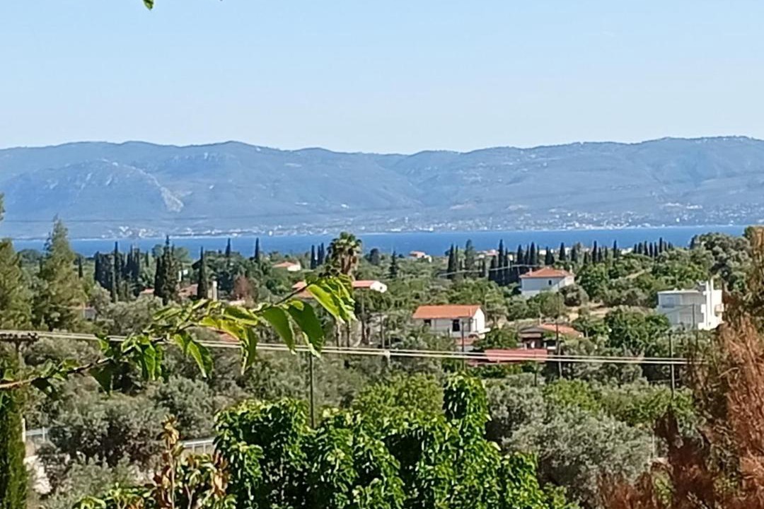 Photo of Others in Amarinthos